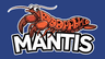 NeoMantis